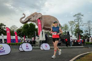 BIB: 
                            <button type="button" onclick="openModal(26528663)" class="btn btn-primary btn-sm float-right btn-popup" data-toggle="modal" data-target=".modal-high-quality">
                        <i class="fas fa-shopping-cart"></i> Add to Cart
                    </button>
                                            <button type="button" onclick="isThisMe(26528663, true)" class="btn btn-success btn-sm float-right btn-popup btn-isme hidden" data-toggle="tooltip" data-placement="bottom" title="นี่คือรูปของคุณใช่ไหม คลิกที่นี่เพื่อเอาเข้าอัลบั้ม">
                        <i class="fas fa-plus"></i> Add to album
                    </button>
                    <button type="button" onclick="isThisMe(26528663, false)" class="btn btn-warning btn-sm float-right btn-popup btn-isnotme hidden">
                        <i class="fas fa-ban"></i> Remove from album
                    </button>